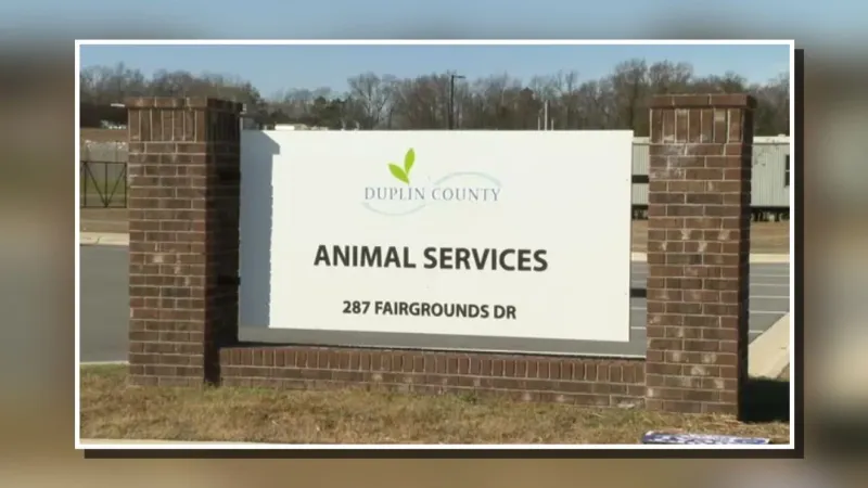 Duplin County Animal Services offers free rabies vaccinations throughout September