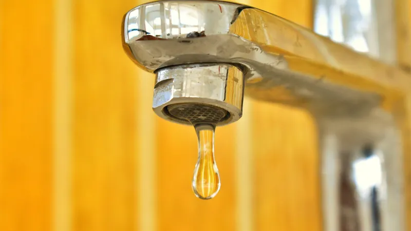 GenX Exposure Study Receives Funding to Look at Effects of PFAS on Metabolic, Long-Term Health