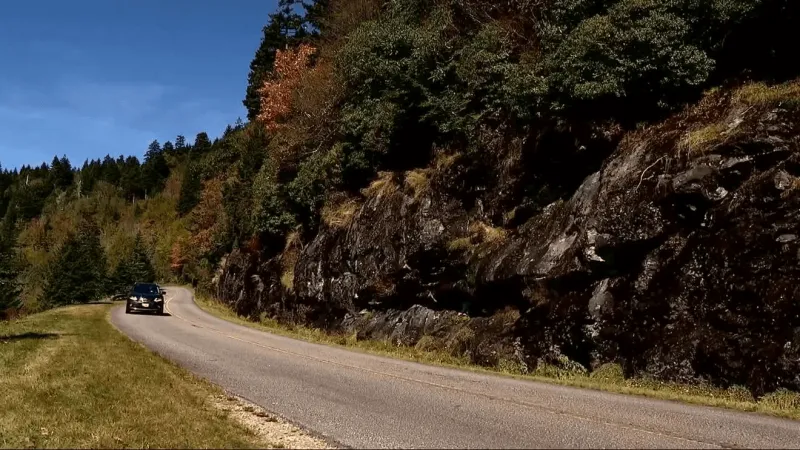Early signs of fall color emerging in WNC's higher elevations