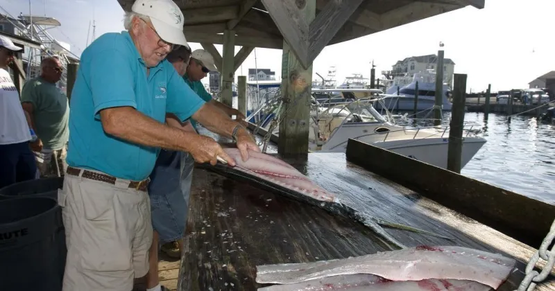 Tom Campbell: Time to fix our 'fishy' regulations