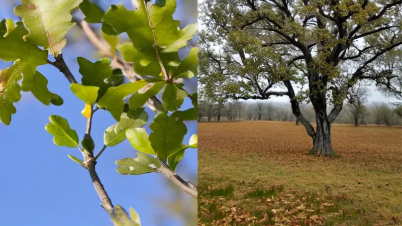 Study Suggests AI-Generated Images Could Support Conservation, but Real-World Data Remains Essential