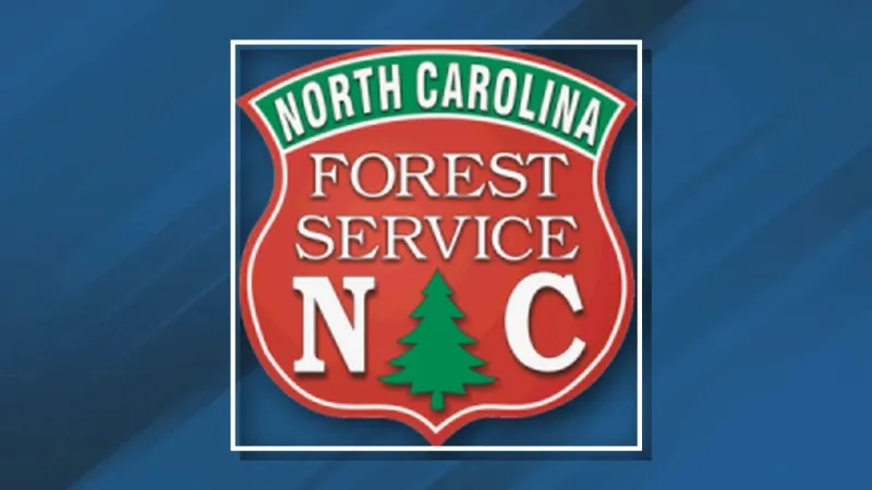 Federal, state forest agencies sign nearly $65 million agreement for Helene recovery