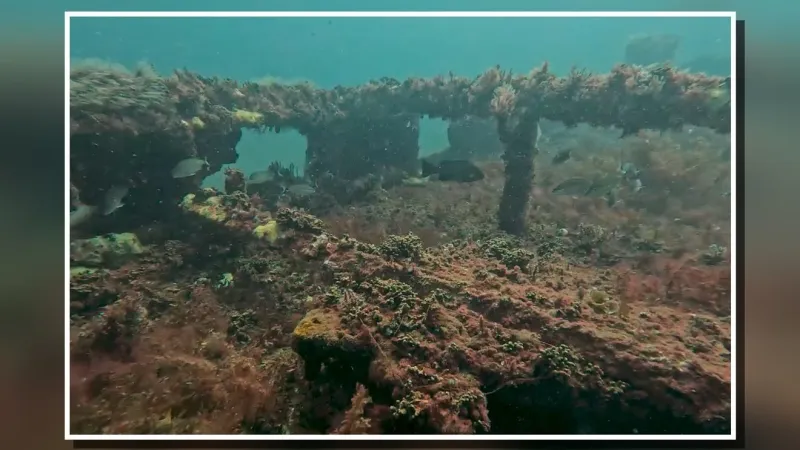 Titan tugboat wreck earns high marks during NC reef survey