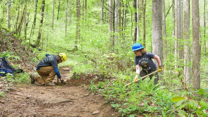 Volunteers sought to help care for Pisgah National Forest sites