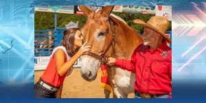 77th Benson Mule Days Set For Sept. 24-27