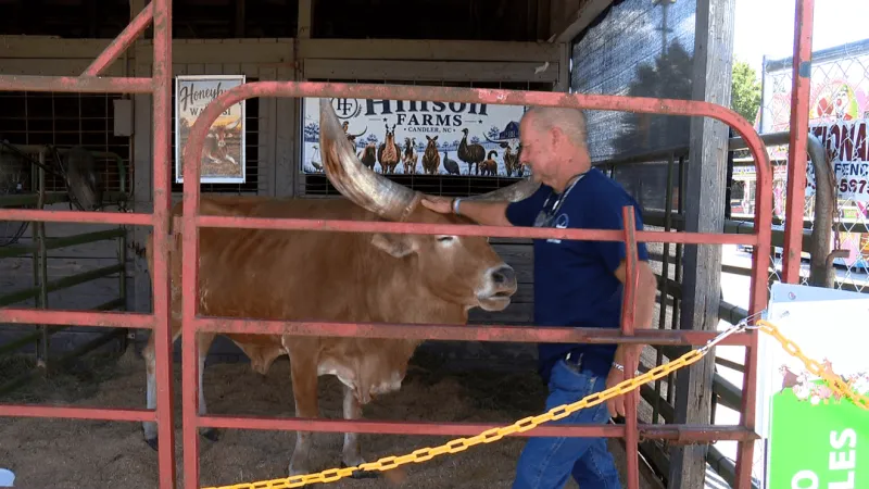 Agriculture and farming celebrated at North Carolina Mountain State Fair