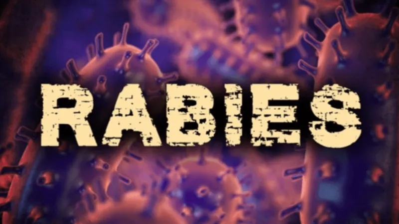 Rabies confirmed in stray cat found near Mills Road in Greenville