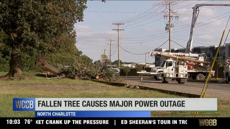 Tree falls on utility pole, snapping it half, knocking out power and forcing a road closure