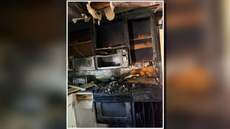 Firefighters rescue two cats from Dudley home after kitchen fire