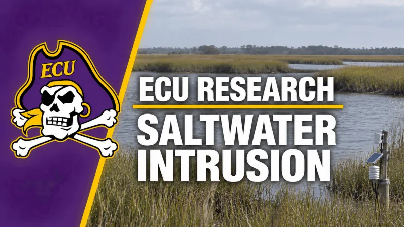 ECU-led research tracks rising soil salinity as saltwater intrusion threatens coastal land