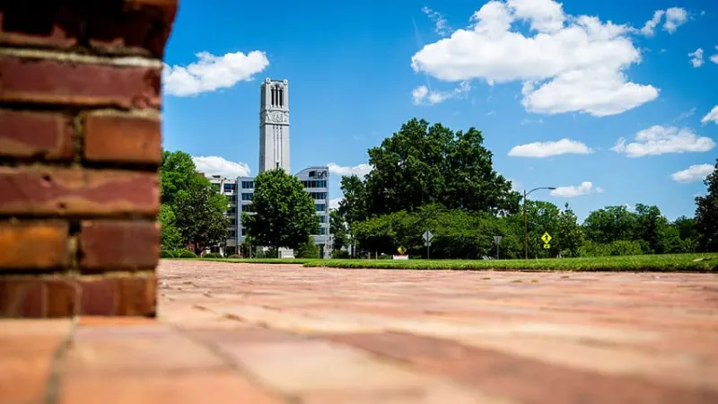 Meg Chester Named Vice Provost for Budget and Business Operations