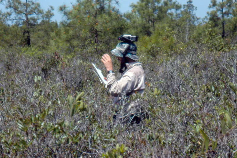 North Carolina Natural Heritage Program Celebrates 50 Years of Conservation Science and Natural Area Protection