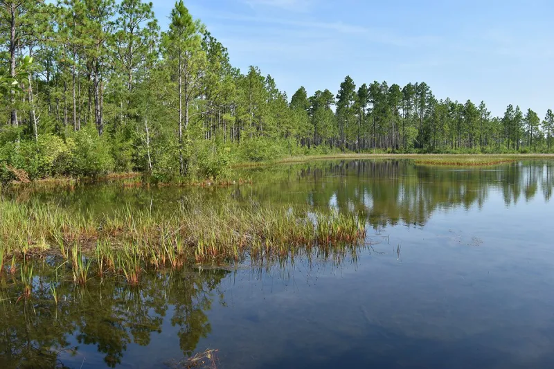 EPA, Army propose alternative draft definitions for 'WOTUS'