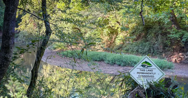 Three Rivers Land Trust protects 84 acres along the Rocky River in Cabarrus County