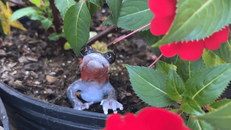 New salamander scavenger hunt crawls into downtown Waynesville this fall