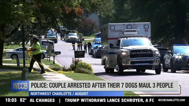 Police: Couple arrested after their seven dogs maul three people