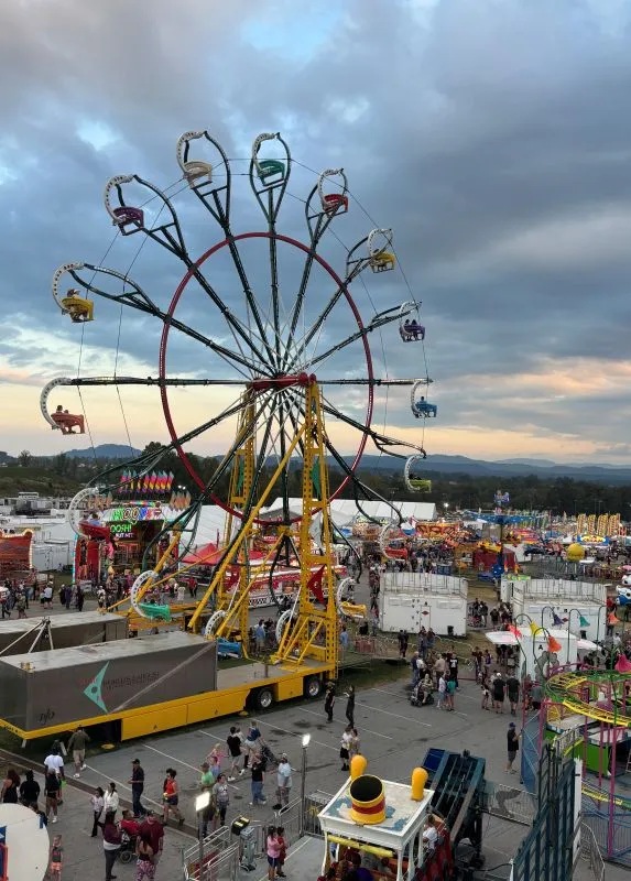 Fair offers rides, food, animals and more