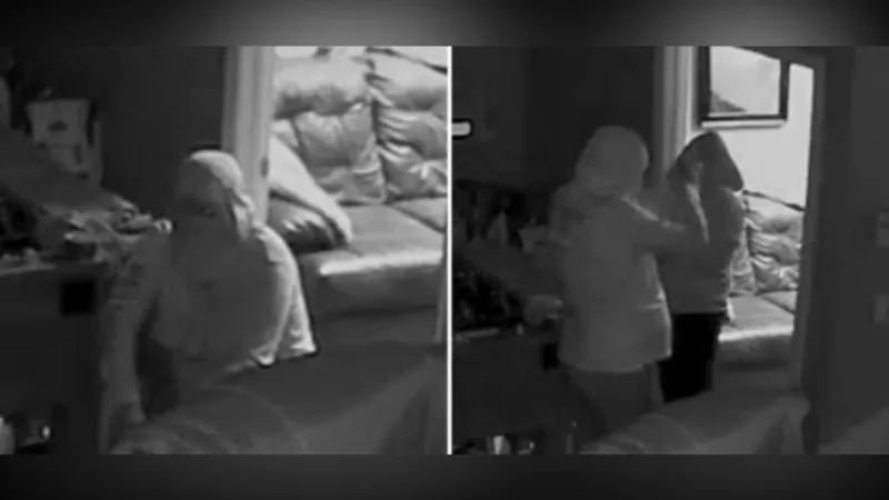 Authorities seek suspects after break-in, theft at Arden business