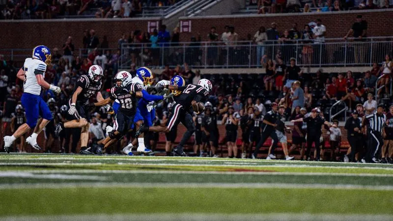 Bears fall at home to Lions