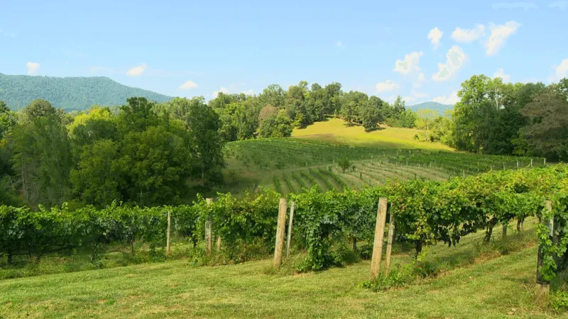 From Helene to harvest: Western NC farm tour returns
