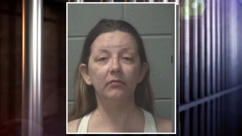 Troopers: South Mills woman drove wrong way on U.S. 17 with two kids in car