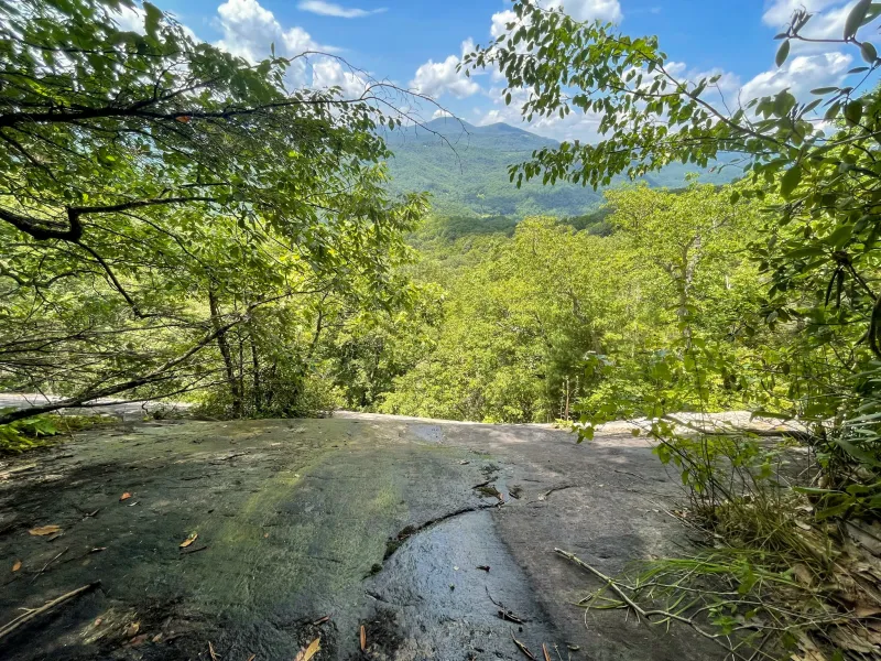 Easement protects 'incredibly biodiverse part of the world'
