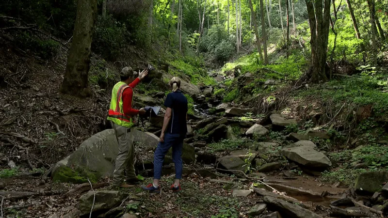 New LiDAR data shows Helene's lasting impact on the mountains