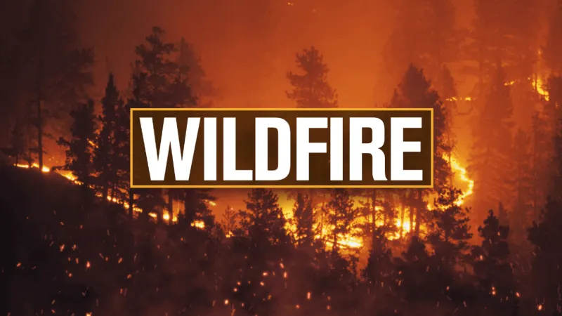 Two Prospect volunteer firefighters injured in 150-acre Robeson County wildfire