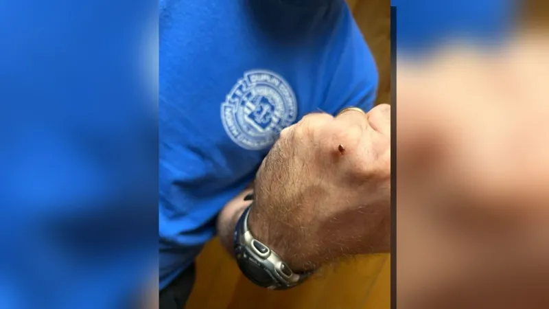 Duplin County EMS station treated three times after reported bed bugs
