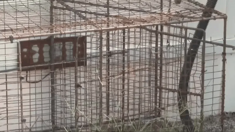 Washington County animal shelter faces $5,600 state penalty