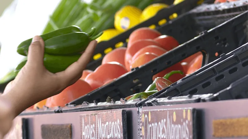 Bounty & Soul expands with new warehouse to distribute more fresh food across WNC