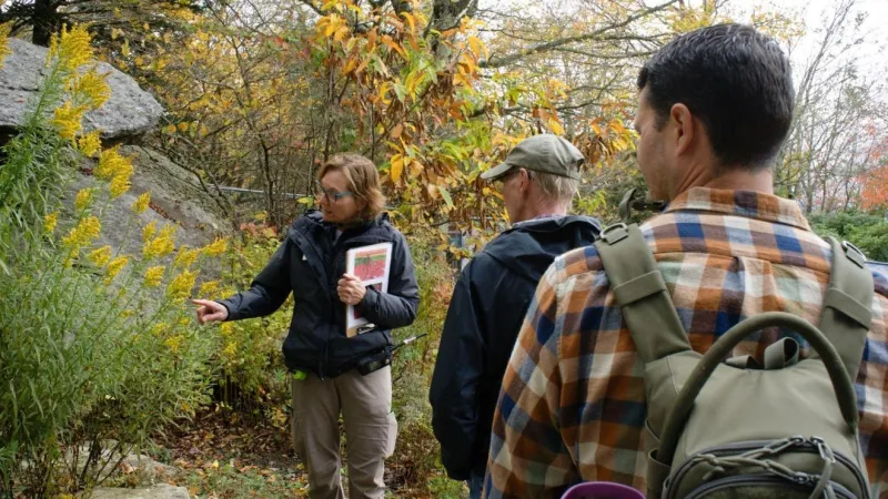 See autumn colors during Grandfather Mountain's annual Fall Color Ramble