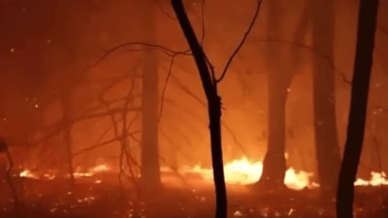 N.C. Forest Service urges caution as fall wildfire season begins