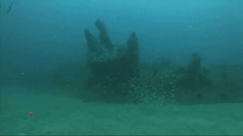 Amazing America 250: World War II history lies beneath waters, across ENC