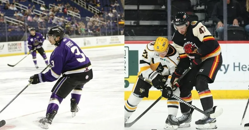 Gargoyles re-sign Price, add Paquette on defense