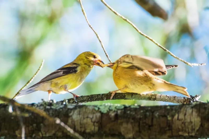 5th annual BioBlitz catalogues the natural world at App State