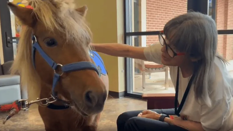 Miniature therapy horses Jolene and Ladybug bring big smiles to Asheville seniors