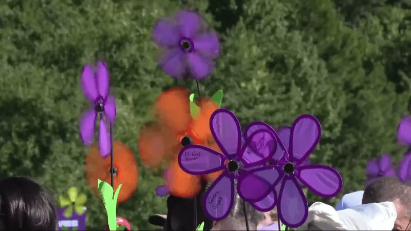 Jacksonville Walk to End Alzheimer's raises more than $40,000
