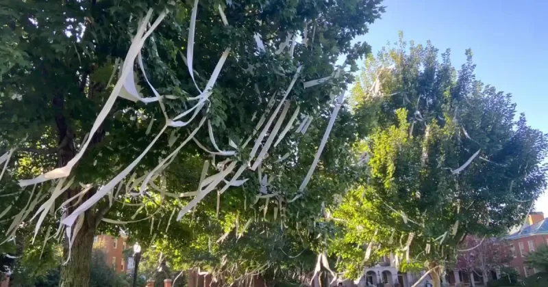 Timeless tradition: Watch the aftermath of Wake Forest students who 'Rolled the Quad'