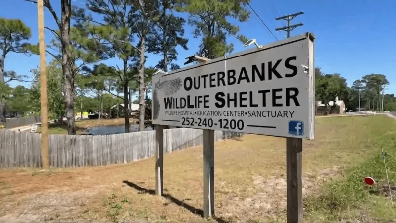 OWLS unveils new seabird enclosure dedicated to Sgt. James Slape