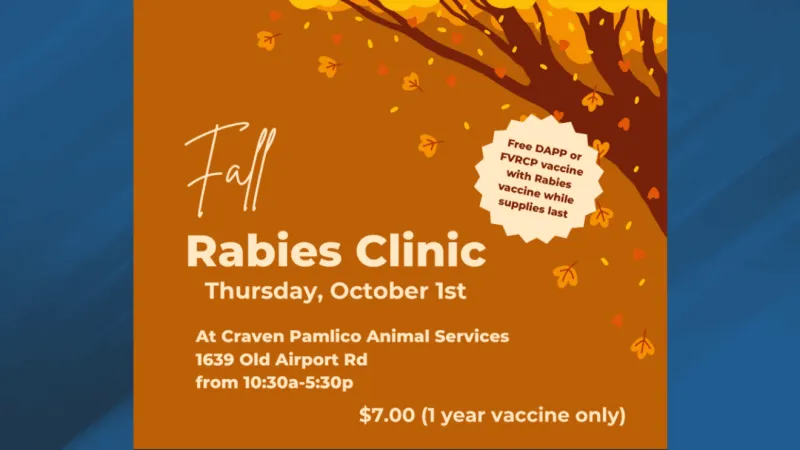 Craven-Pamlico Animal Services to offer low-cost rabies vaccines Thursday