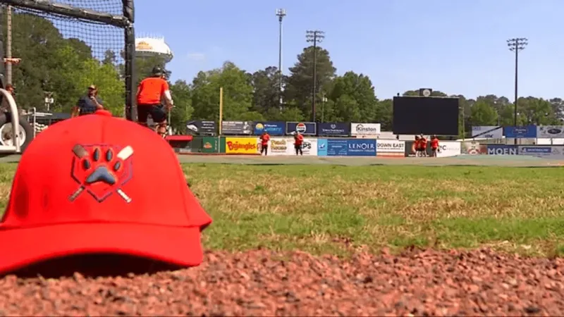 Lenoir County commissioners, Kinston City Council to discuss Down East Bird Dawgs