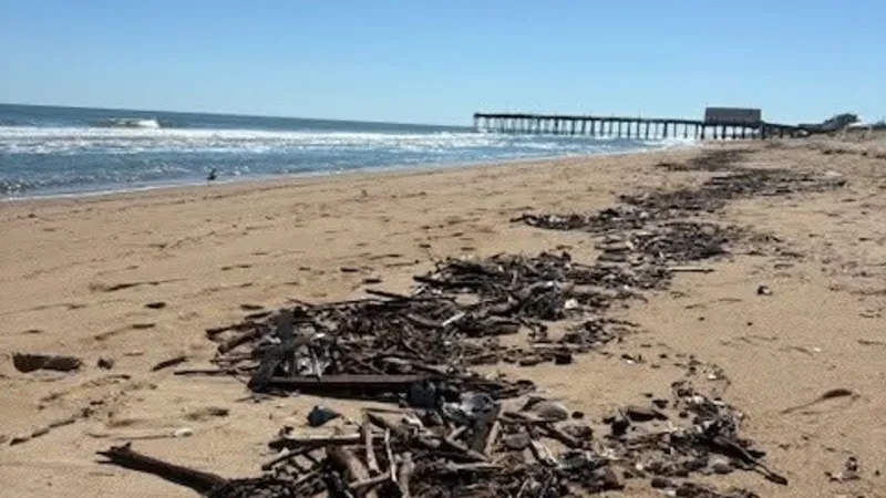 Southern Shores asks residents to help clear storm debris from beaches