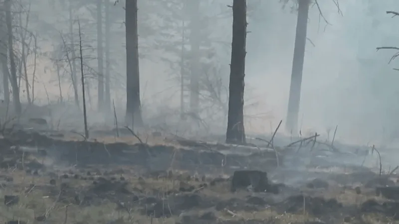 N.C. Forest Service warns wildfire risks persist, despite cooler fall temperatures