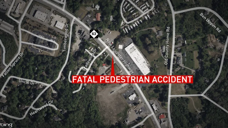 Pedestrian dies after being struck by vehicle on New Leicester Highway