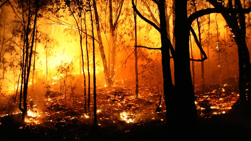 Brush fire near Ben Williams Road may bring low-lying smoke to Richlands area