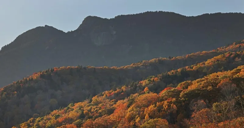 Blue Ridge Parkway work near Doughton Park, Grandfather Mountain is complete
