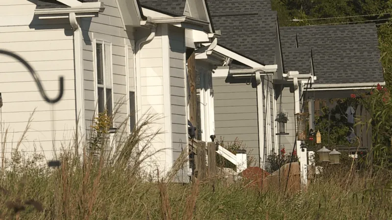 FEMA says homes bought out after Helene would be demolished, 'returned to green space'