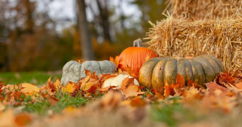90-degree day in October? It could happen Friday in Triad