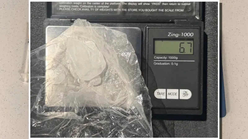 Pender County K-9 finds suspected meth after foot pursuit